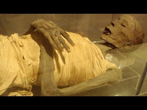 Видео: ДНК на най-древните мумии на Земята е декодирана - Алтернативен изглед