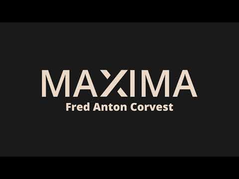 Maxima AuV3 iOS Preview