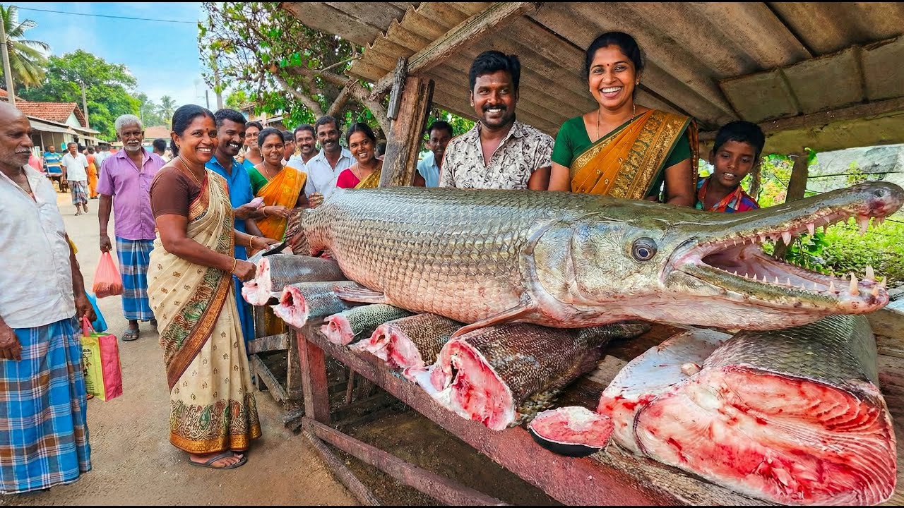 Amazing Village!! Biggest  Alligator Gar Fish Market Live Cutting Skills Sri Lanka