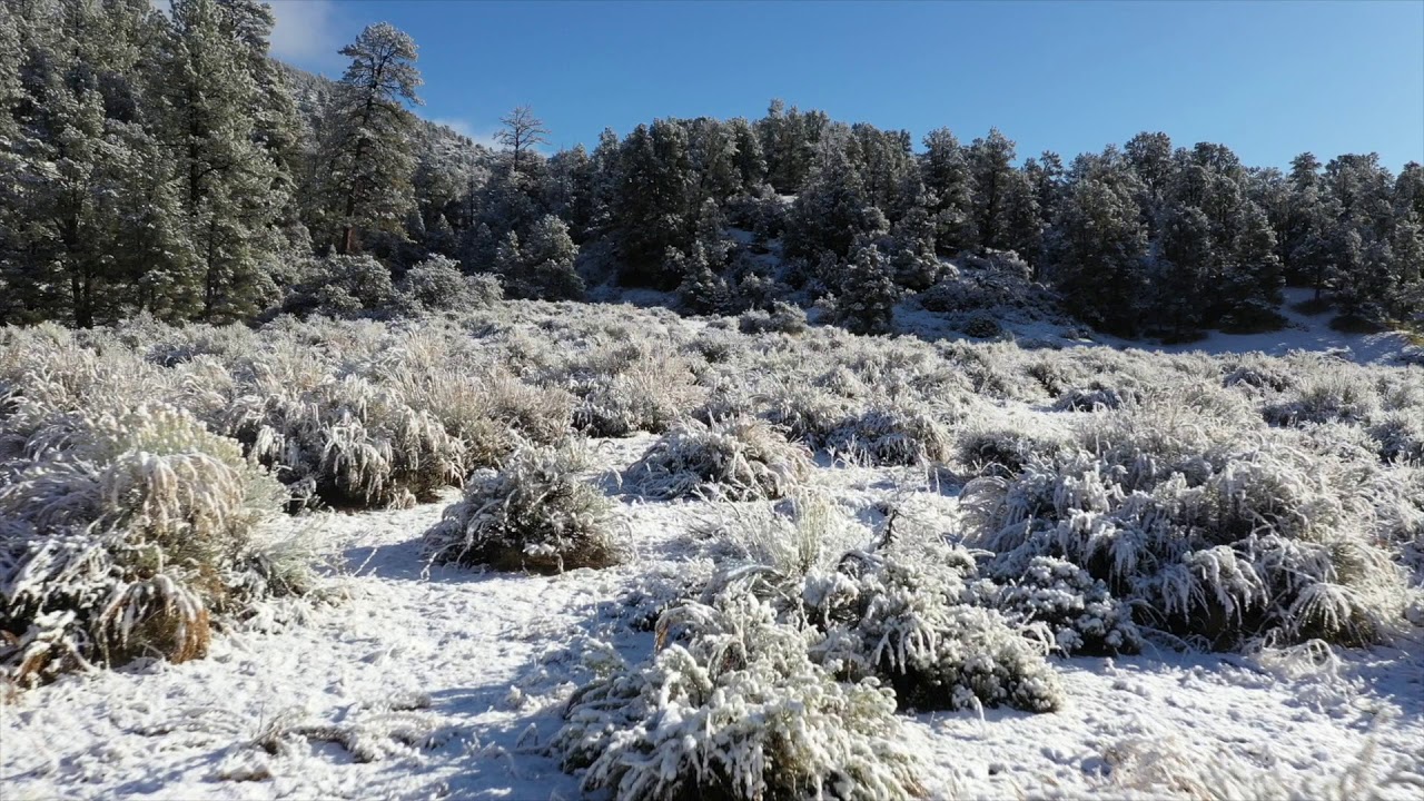 Frazier Mountain Snow YouTube