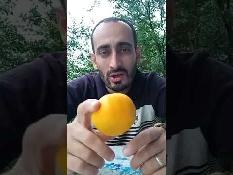 Video: Mənim saxta portağalım niyə çiçək açmır - istehza portağalın çiçəklənməməsinin səbəbləri