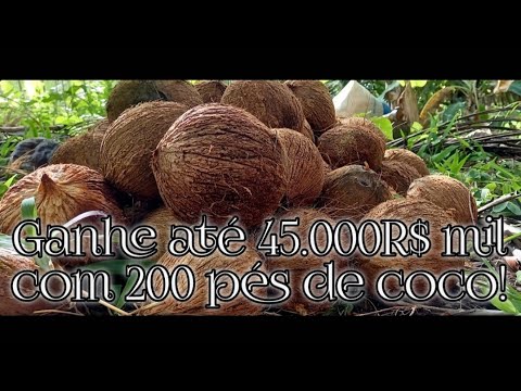 🥥Ganhe até 45.000R$