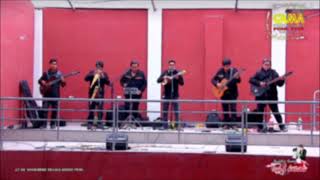 Video thumbnail of "Salvaste mi alma - Grupo instrumental Cantares (audio) en vivo"