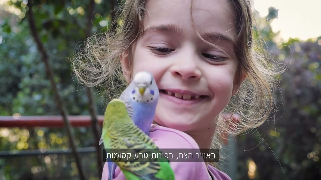 בית הספר הריאלי העברי בחיפה – היכרות מתחם מטוס 2020