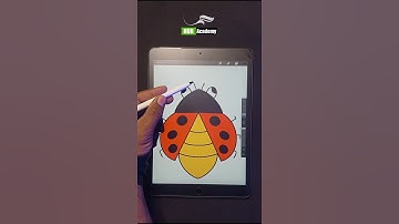 How to Draw Ladybug, Step by Step, Drawing Guide #howtodraw #ladybug #stepbystep #drawing #guide