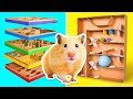 Coolest Crafts For Active Hamsters || DIY Mazes From Cardboard