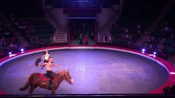 Xiếc Ngựa-Liên Đoàn Xiếc Việt Nam