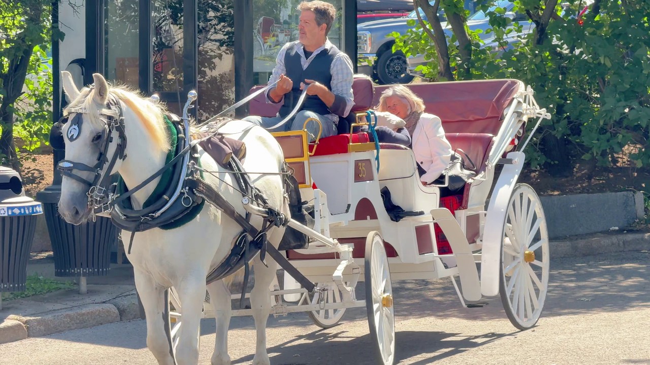 Quebec City Travel Walk | Old Quebec’s Historic Streets & Stunning Views (Day 1)