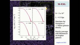 Simon White: Insights into the nature of dark matter from numerical simulations