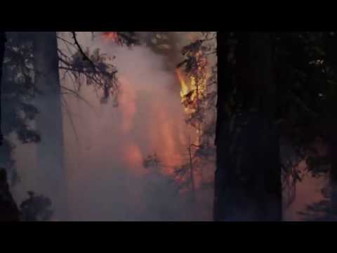 Females in Wildland Firefighting