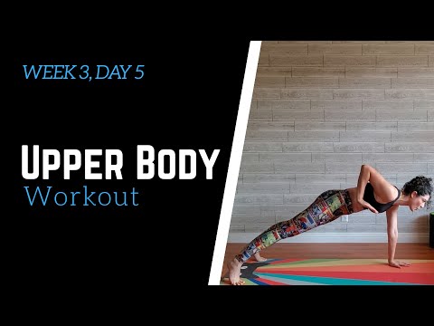 ANY20 Week 3