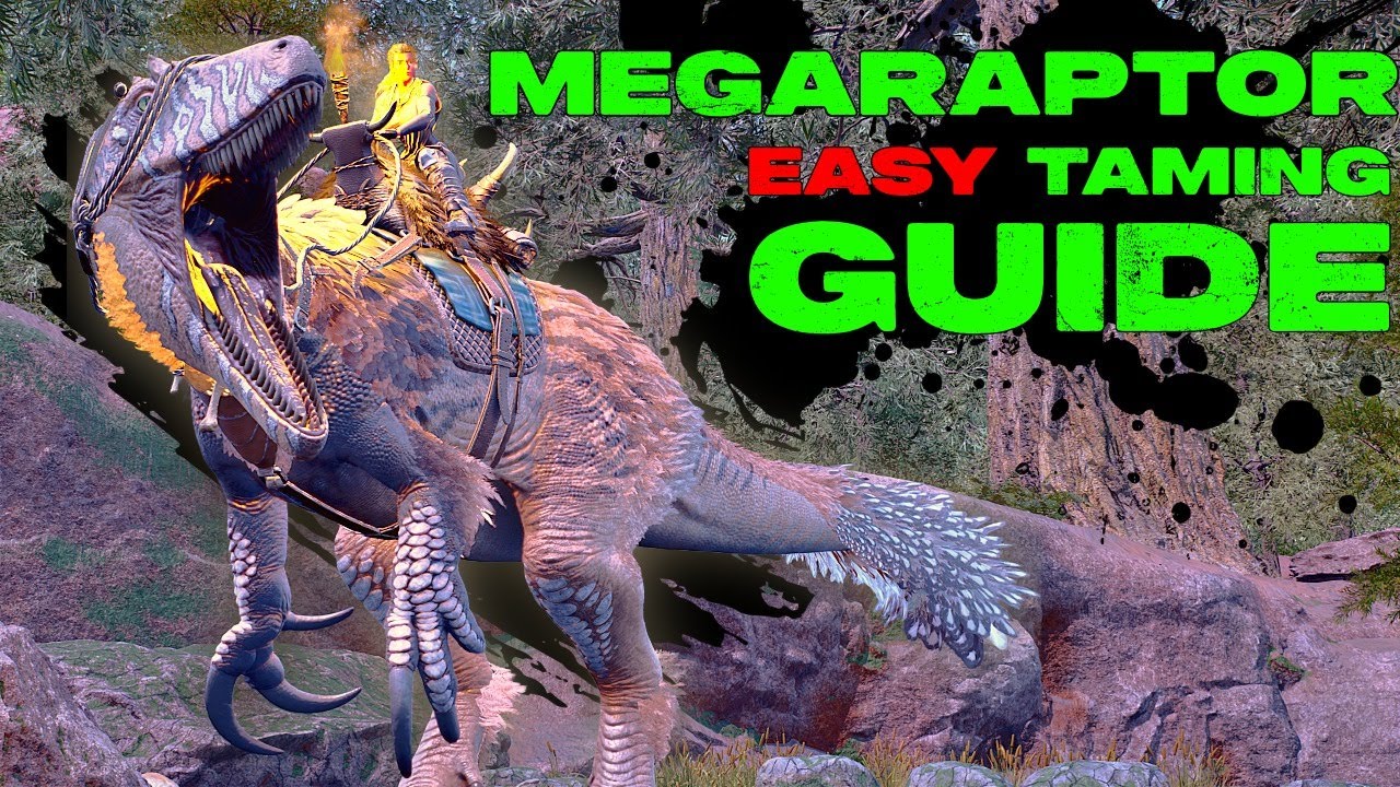 MEGARAPTOR Easy Taming Guide!!!! - YouTube