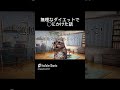 無理なダイエット #猫ミーム