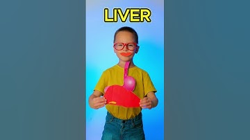 🍎 Learn How Our Body Processes Food 🍽️ #kids #learn