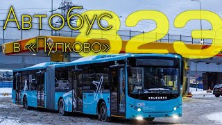 Автобус в аэропорт «Пулково» - обзор!