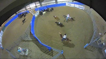 Big Sky Ranch Sorting Saddle Series #4 - #5 SORT - Round #1 - Ride #22