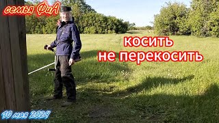 Из Германии в Россию на ПМЖ. Грудинка на углях. Покупки.Брусчатка своими руками. Косим...