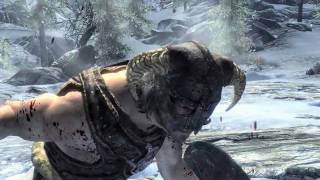 Skyrim in-game (Slow Motion)