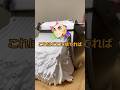 産屋敷にゴキが出たら