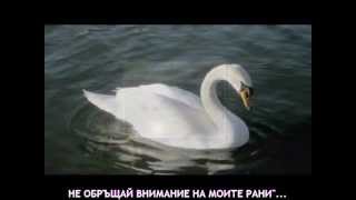 Petros Imvrios - Mi me lupasai ( Bulgarian translation )