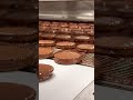 Sharing Elegance Biscotto S Journey EleganceFoods EleganceChocoBiscotto Lebanon Sharing Elegance Biscotto S Journey EleganceFoods EleganceChocoBiscotto Lebanon