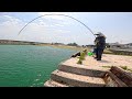釣りの達人おばーが小魚釣り中に大物を”3匹”も掛けてしまい体力の限界まで勝負する