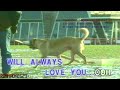 04. I Will Always Love You | TBOPA Vol. 27: Whitney Houston, Vol. 1 | Star Records