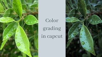 Capcut video editing | How to do color grading on capcut | moody dark color grading #capcuttutorial
