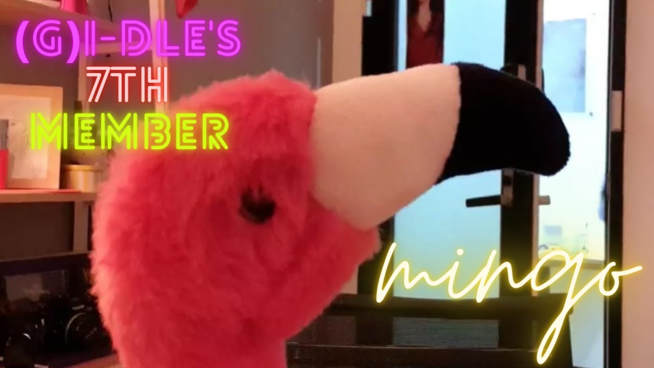 (g)i-dle's flamingo