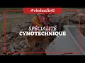 Ref:HzweUlIaI84 Rencontre avec les sp�cialistes cynotechnie du sdis de loir-et-cher