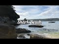 Shark Beach - Sydney NSW | One Fine Summer Weekend