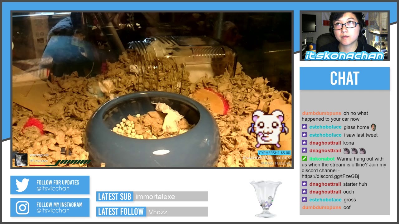 Car Drama Continues (HamCam)