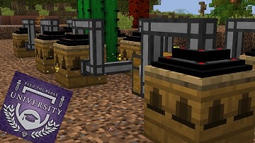 Forestry Bees Start - Mini Episode - FTB University