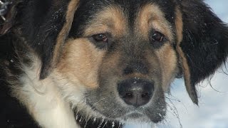 КОНФИДЕНЦИАЛЬНО! Регресивный Гипноз КОНФИДЕНЦИАЛЬНО! Регресивный Гипноз
