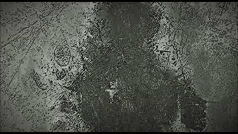 Leeches - A plague in the Heart of Light Official Video (F Y C Records 2020)