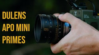 BEST Budget Cinema Lenses?! Dulens APO Mini Primes Review!