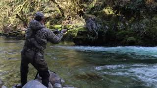 Steelhead Catch Of The Day Today