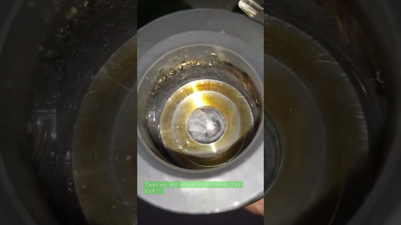 forbidden zkittlez live diamonds