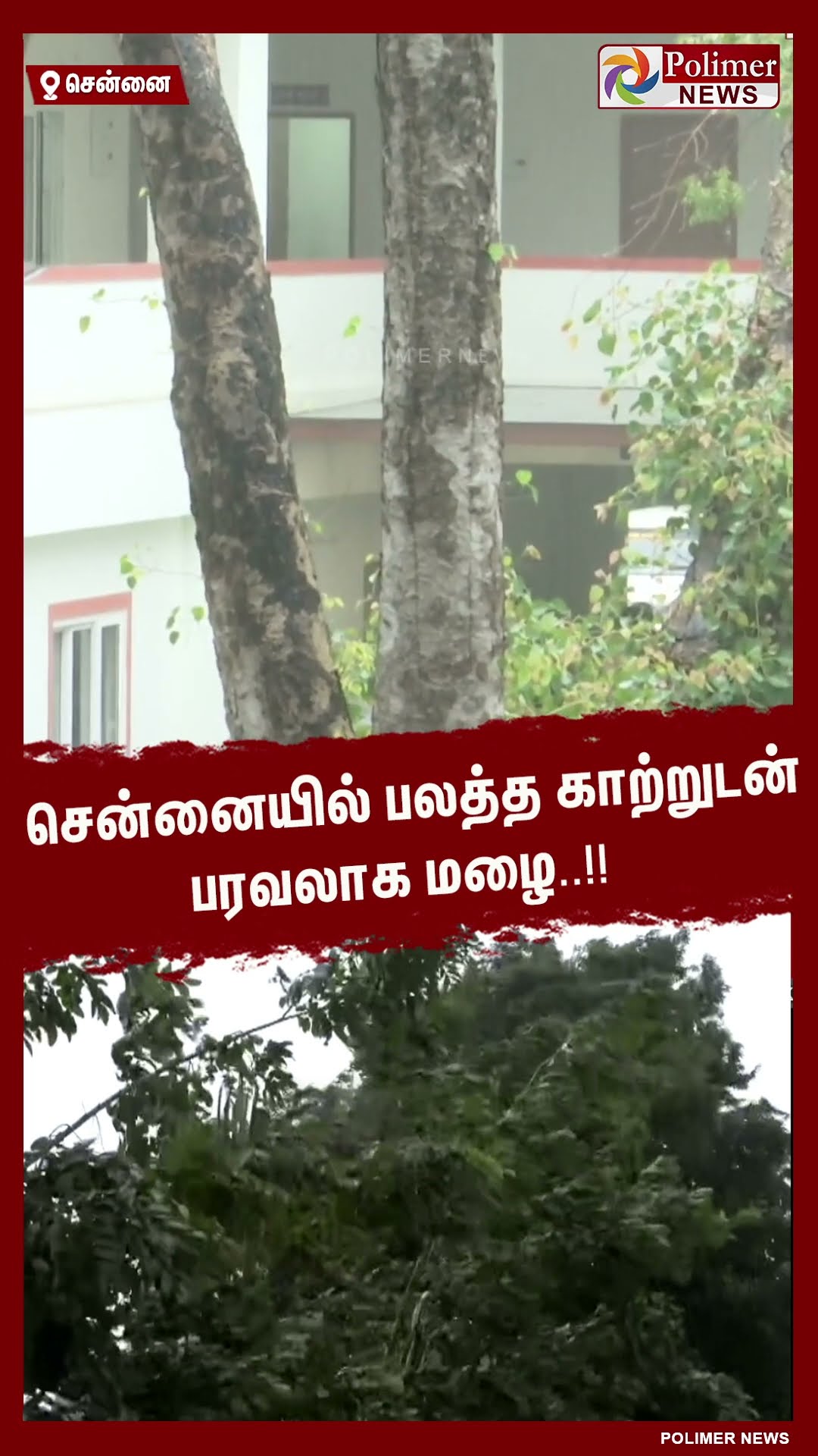 சென்னையில் பலத்த காற்றுடன் பரவலாக மழை..!! #shorts | #chennairain