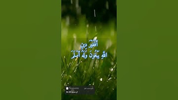 سورة ال عمران الايه 83-84
