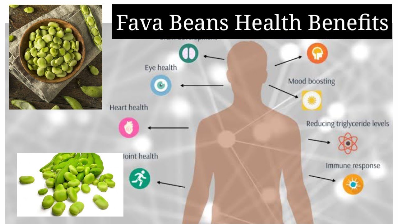 8 Amazing & Nutritious Benefits Of Fava Beans,Broad beans,Faba beans
