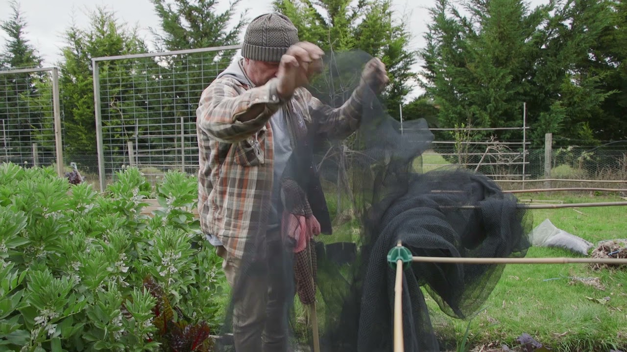 Bird Netting My Veggies Using 6 Way Cane Connectors