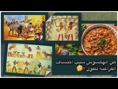 أصل الفول و ما علاقة الفول بالحمامات الشعبية تاريخ المأكولات