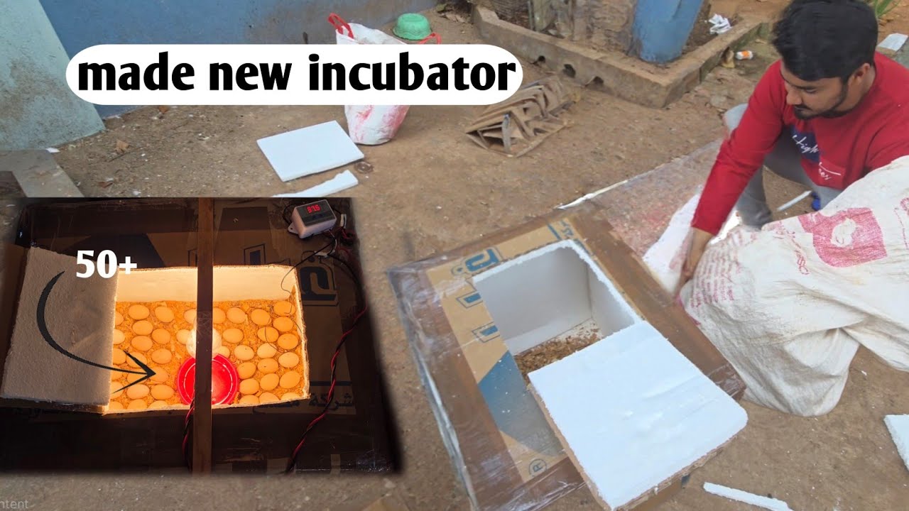 How to make incubator at home ,hum ne banaya naya incubator 🥳