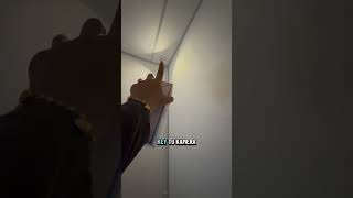 IMG 5556 2