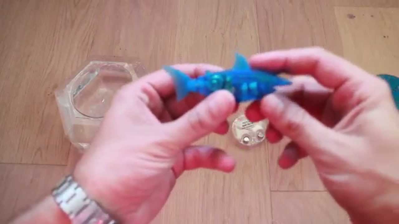 hexbug hammerhead shark