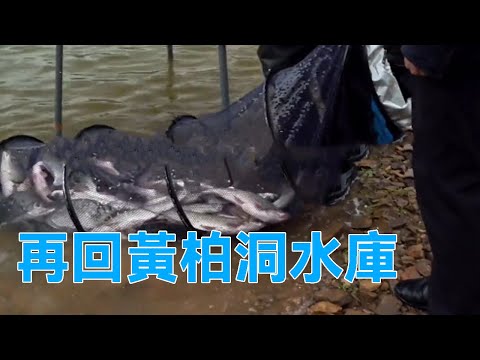 鄧剛水庫釣魚合集丨再回黃柏洞水庫，這個老闆太囂張了，必須得讓他體會一下被盤的感覺【天元鄧剛】