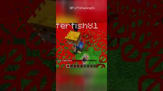 I Fell In Minecraft