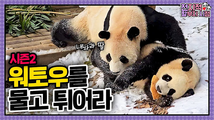[Omniscient Grandpa's View] ep.207 🚨Rui Caught Stealing Mom's Wotou!🚨 │ Panda World
