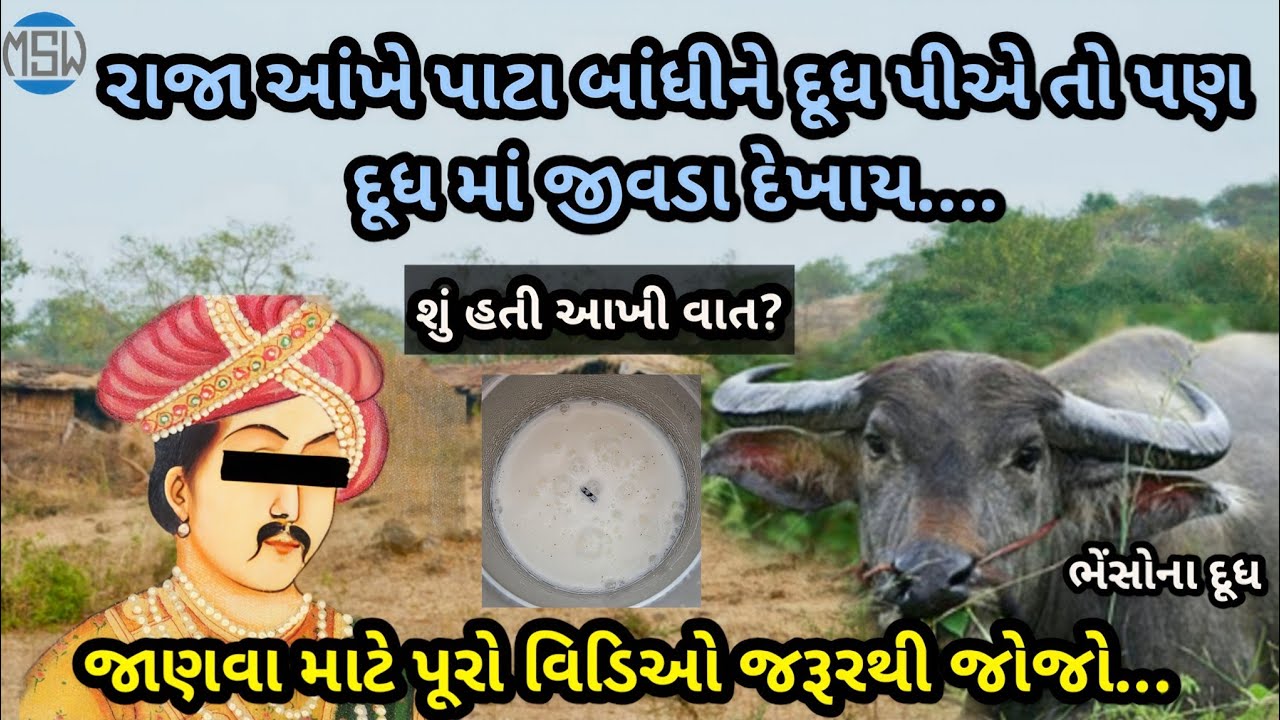 રાજા આંખે પાટા બાંધે તો પણ દૂધમાં જીવડા દેખાય | ભેંસોના દૂધ | લોક વાર્તા |  lok varta | gujrati| new